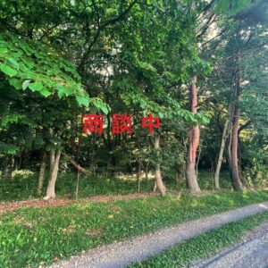 キャンプ場用地としても最適。周囲にあまり家のない山です。