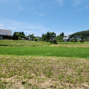 離れた場所からの現地（中央）