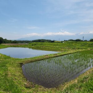 隣の美しい田園風景