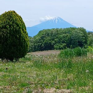 八ケ岳の懐で、富士山を見ながら暮らす贅沢
