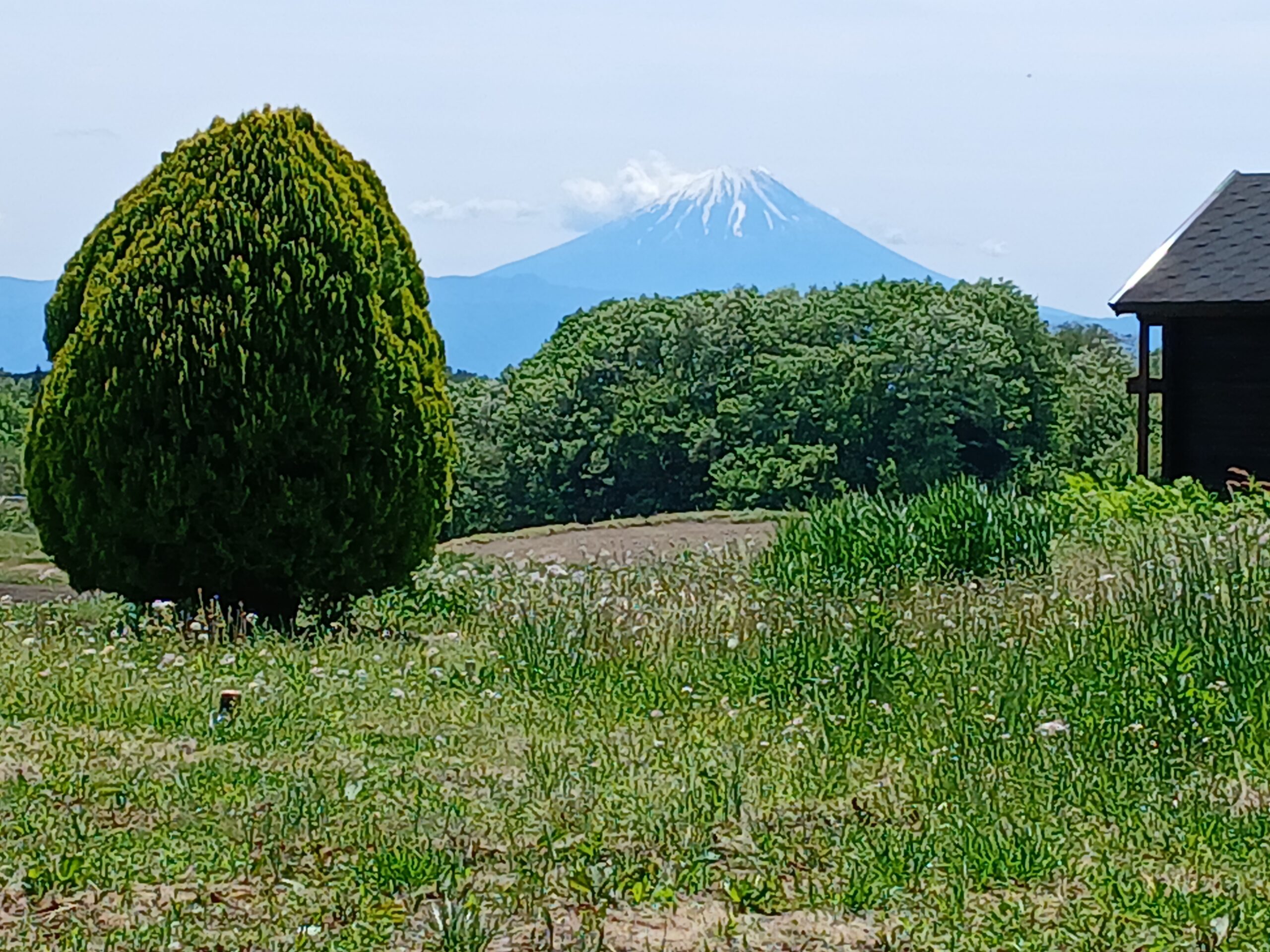南東側富士山